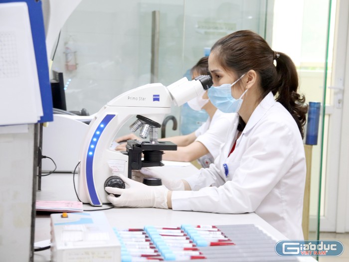 Công tác phân tích mẫu xét nghiệm tại Viện Sốt rét - Ký sinh trùng - Côn trùng Trung ương. Ảnh: Mộc Trà. GDVN_xet nghiem.jpg