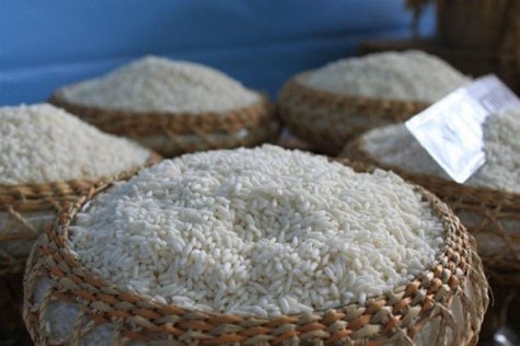Gạo nếp cái hoa vàng, một sản vật nông nghiệp quí của các tỉnh phía Bắc dùng để dâng vua.