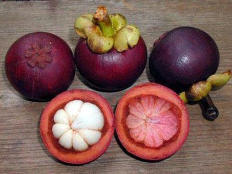 Những trái măng cụt Kim Long (Huế) cũng là một sản vật quí tiến vua.