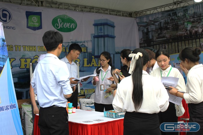 GDVN_Ngày hội việc làm 4.JPG