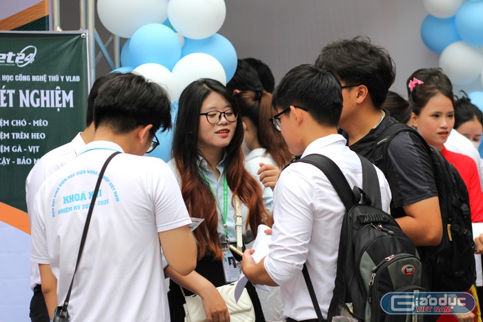GDVN_Ngày hội việc làm.JPG
