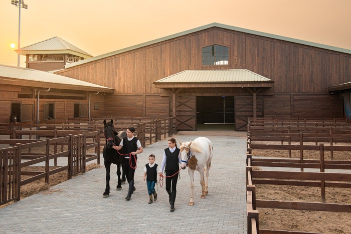 Vinpearl Horse Academy Vũ Yên có những chương trình đào tạo bài bản giúp học viên, cư dân Vinhomes Royal Island rèn luyện thể lực, trí lực thông qua bộ môn thể thao cưỡi ngựa. Su kien Vu Yen_ Anh 4.jpg