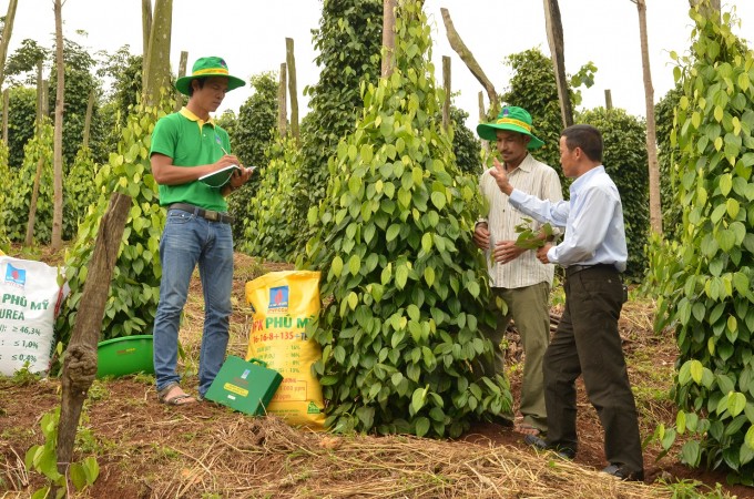 Việc sớm sửa đổi Luật thuế số 71 không chỉ hỗ trợ các doanh nghiệp phân bón trong nước vượt qua giai đoạn khó khăn do Covid-19 mà còn gián tiếp hỗ trợ nông dân được mua phân bón với giá hợp lý hơn. Hinh 2.jpg