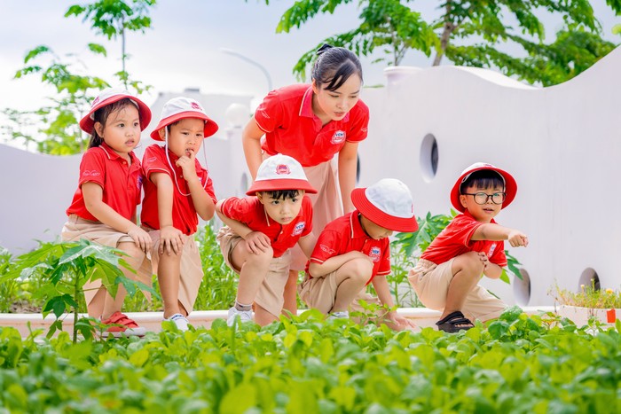 Mọi hoạt động học tập đều được thiết kế để đáp ứng nhu cầu và sở thích riêng của từng trẻ. hình 3 - pp giáo dục.jpg