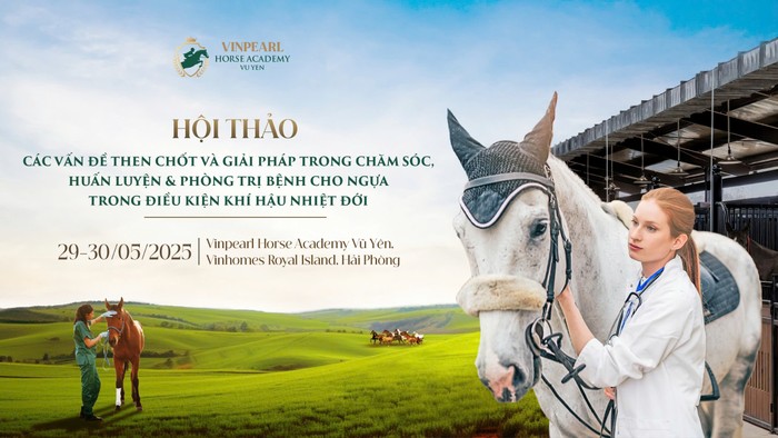 Hội thảo chuyên sâu hàng đầu về ngựa do Học viện Cưỡi Ngựa Vinpearl Vũ Yên tổ chức. Ảnh 1.jpg