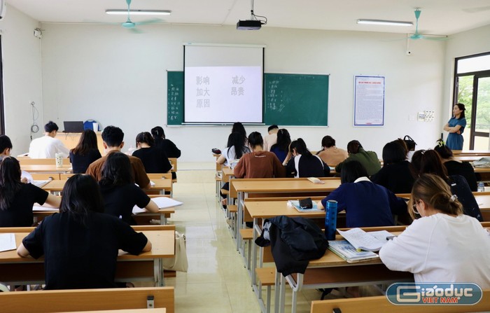 Một tiết học tiếng Trung của sinh viên Trường Đại học Thành Đông. (Ảnh: Nhật Lệ) GDVN_hoc-tieng-trung.jpg