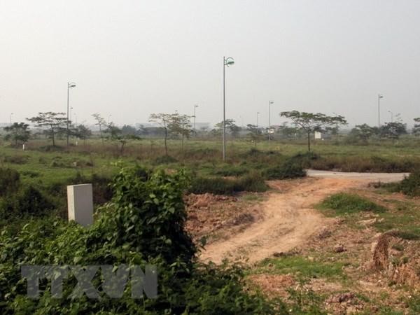 Ảnh minh họa: TTXVN