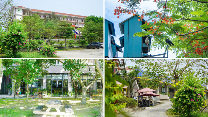 Khuôn viên ngập sắc xanh của Trường Đại học Phú Xuân. Ảnh: PXUni 7.png