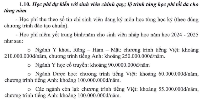 Học phí năm học 2024 - 2025 của Trường Đại học Quốc tế Hồng Bàng. Ảnh chụp màn hình.