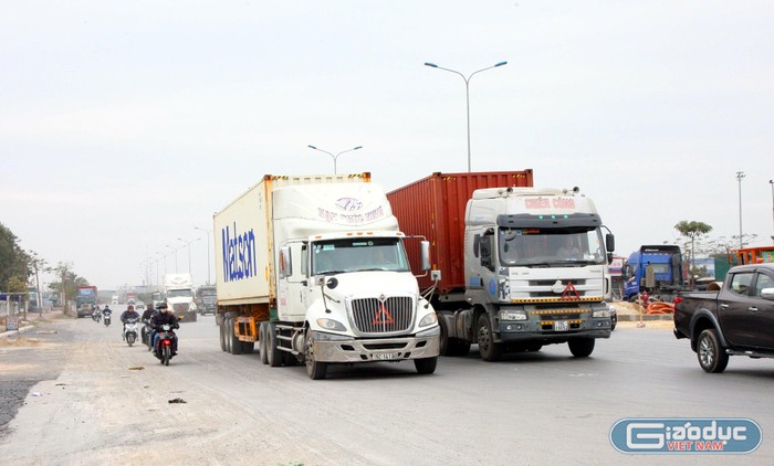 Số lượng xe container tại Hải Phòng tăng nhanh theo từng năm (Ảnh: ML)