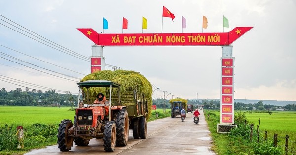 Hình ảnh minh họa. (Ảnh: Báo điện tử Chính phủ)