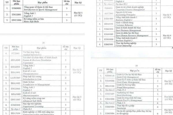 Bản mô tả chương trình đào tạo đại học ngành Quản lý Thể dục thể thao (sau rà soát) được Trường Đại học Đại Nam ban hành vào tháng 7/2023. (Ảnh: cắt màn hình)