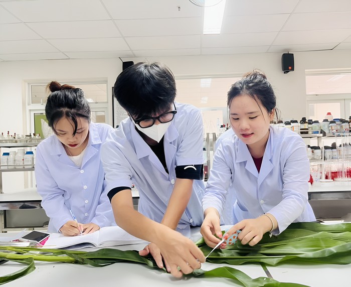 Sinh viên chuyên ngành Nông nghiệp công nghệ cao, Trường Đại học Đông Á đo chỉ tiêu cây giống, phục vụ các nghiên cứu vì cộng đồng. (Ảnh: NVCC)