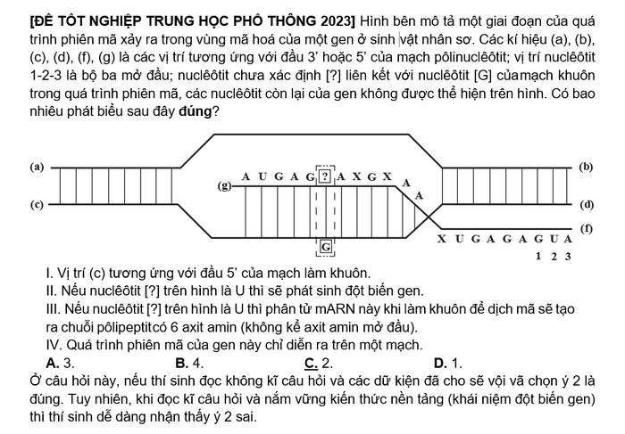 Thầy Đinh Văn Tiên phân tích ví dụ minh họa từ đề thi tốt nghiệp trung học phổ thông năm 2023. Ảnh: NVCC Vi du de thi mon sinh 1.png